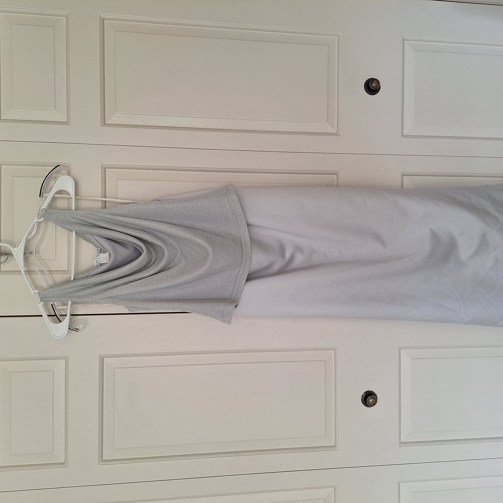 Elegant Gray/Silver Skirt